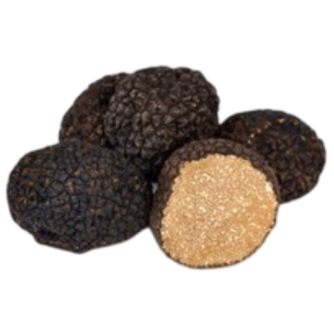 Black Truffle Uncinatum | Fresh Italian Autumn Truffle