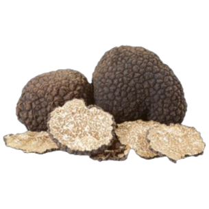 Tartufo fresco Nero Estivo (Tuber Aestivum Vitt.)...