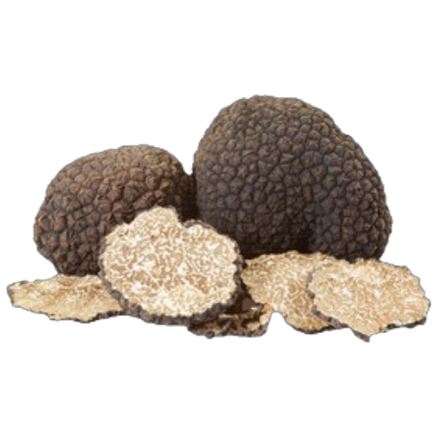 Tartufo fresco Nero Estivo (Tuber Aestivum...