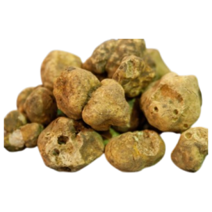 Tartufo Bianco Pregiato 100% Italiano T. Magnatum Pico