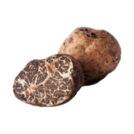White Truffle Borchii - 100% Italian truffles
