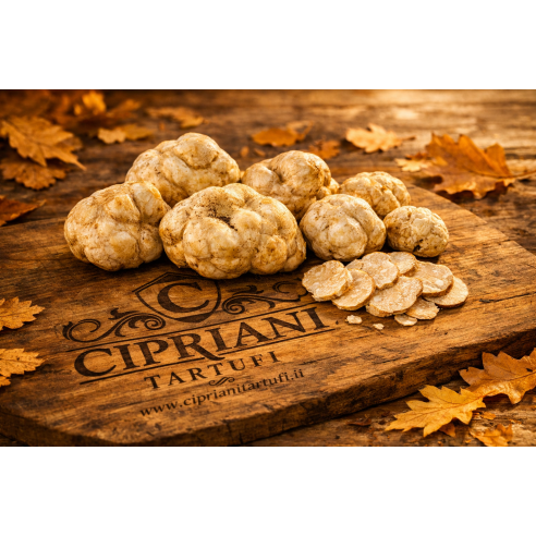 1° CHOICE White Truffle - 100% origin Italy