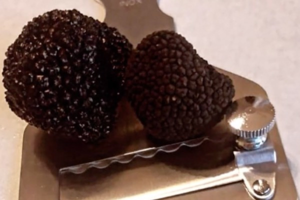Summer Truffle day